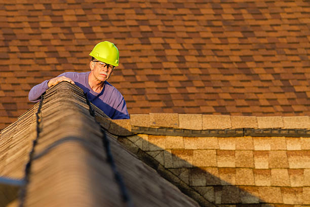 Best Sealant for Roof  in Young Harris, GA